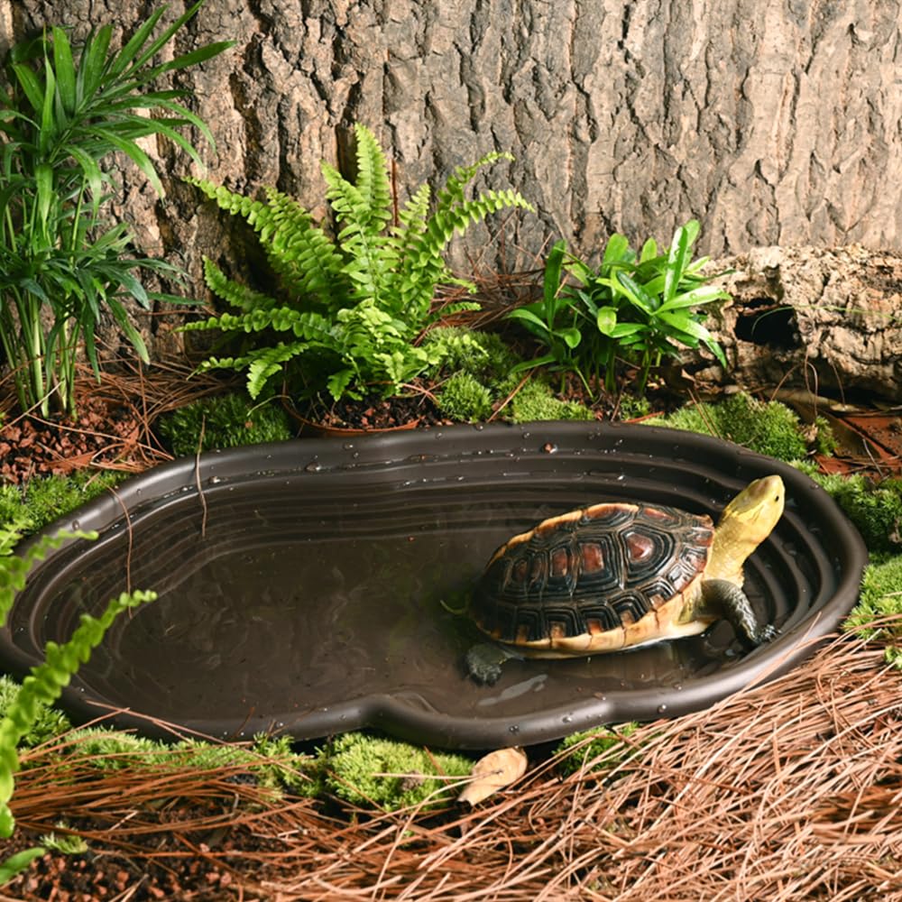 Reptiel Badschotel Amfibieën H - Water Dish Reptile recensie en prijs