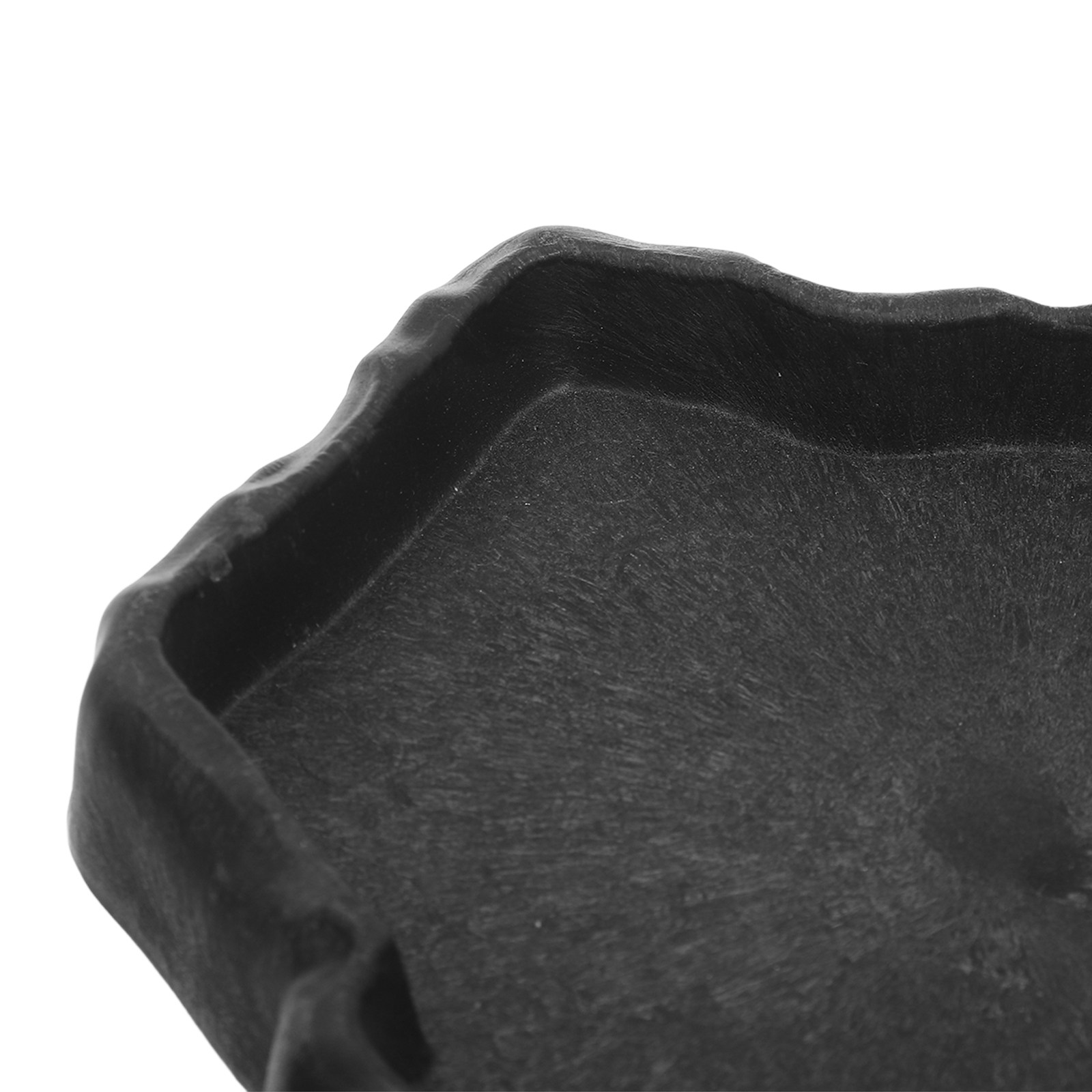 Natuurlijke rots reptiel voerb - Water Dish Reptile recensie en prijs