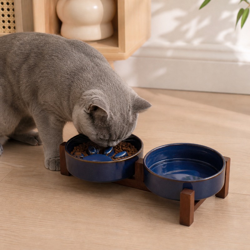 Japanse stijl oven keramische  - Royal Canin Food Medium recensie en prijs