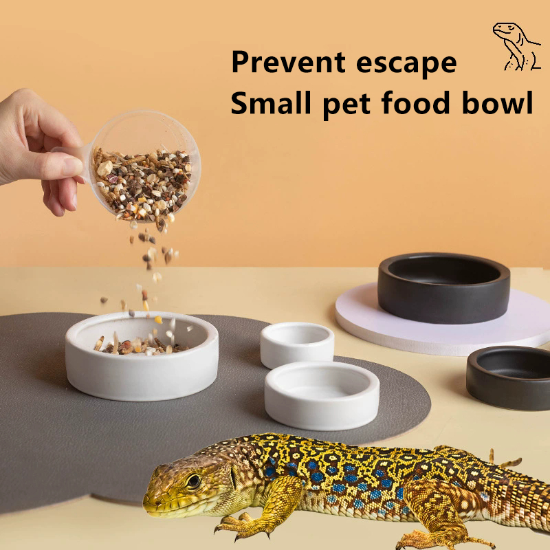 HEET! Reptielen Voederbak Anti - Water Dish Reptile recensie en prijs